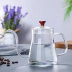 Perfect Glass Gooseneck Kettle